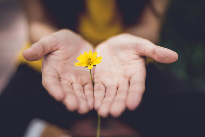 The Tremendous and Unsuspecting Power of Gratitude
